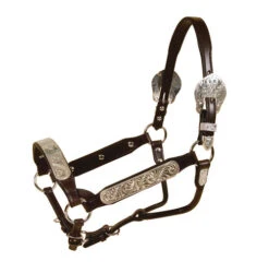 Tory Leather Rochester Congress Show Halter And Lead