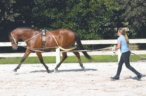 Camelot Training Surcingle - Image 2