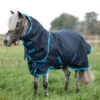 Horseware Ireland Amigo Hero 6 Petite Plus Medium Turnout 200g