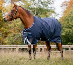 Horseware Ireland Horseware Amigo Bravo 12 Medium Turnout 250g