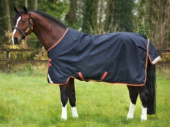 Horseware Ireland Pony Horseware Amigo Bravo 12 Original Turnout 250g