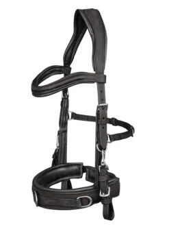 Waldhausen Anatomic Lunging Cavesson