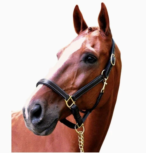 Black Oak Willow Halter - Image 2