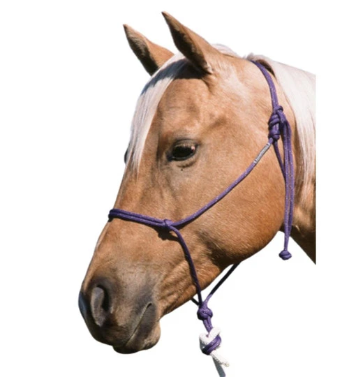 Double Diamond Buck Brannaman 124 Rope Halter - Image 3