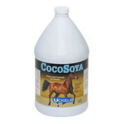 CocoSoya Oil
