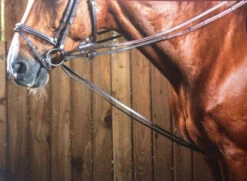 Dy'on Rubber Lined Hunter Draw Reins
