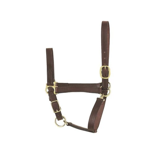 Perri's Economy Leather Halter
