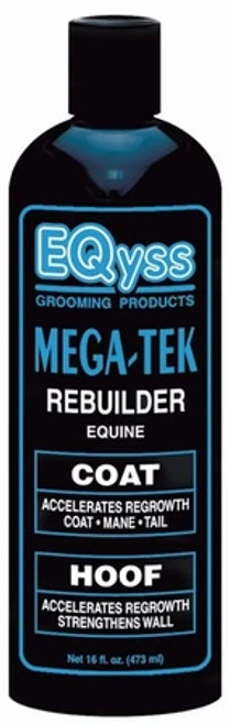 EQyss Mega-Tek Rebuilder
