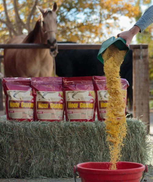 Hoof Guard Supplement By Horse Guard - 10 Lb - Image 4