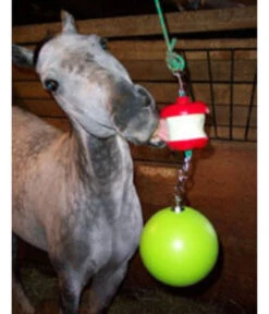 Jolly Stall Snack Combo Horse Toy