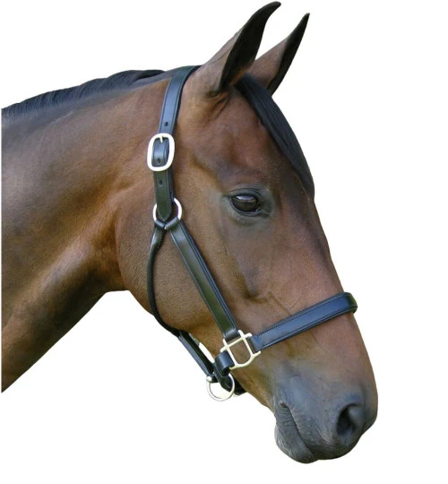 Red Barn Kelly Black Leather Halter - Image 2