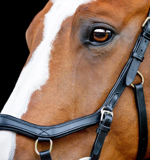 Horseware Ireland Horseware Micklem 2 Competition Bridle - Image 8