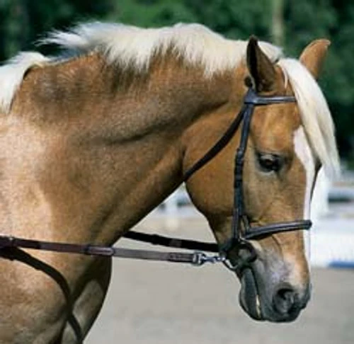 Nunn Finer Elastic Side Reins - Pony - Image 3