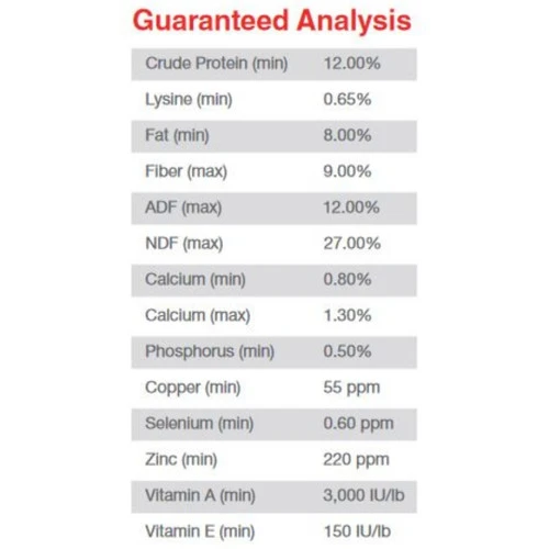 Purina Omolene 500 Competition - Image 2