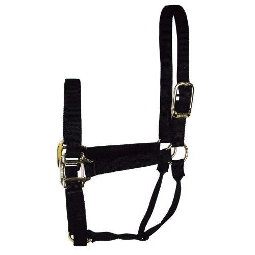 Hamilton Quality 1" Nylon Halter - Image 7