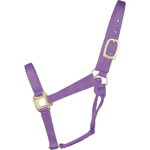Hamilton Quality 1" Nylon Halter - Image 6