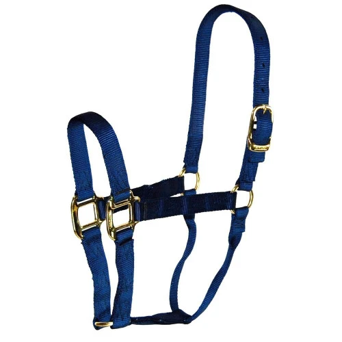 Hamilton Quality 1" Nylon Halter - Image 3