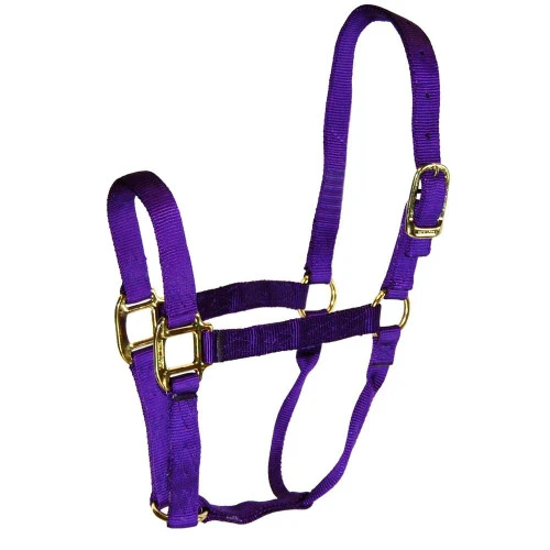 Hamilton Quality 1" Nylon Halter - Image 2