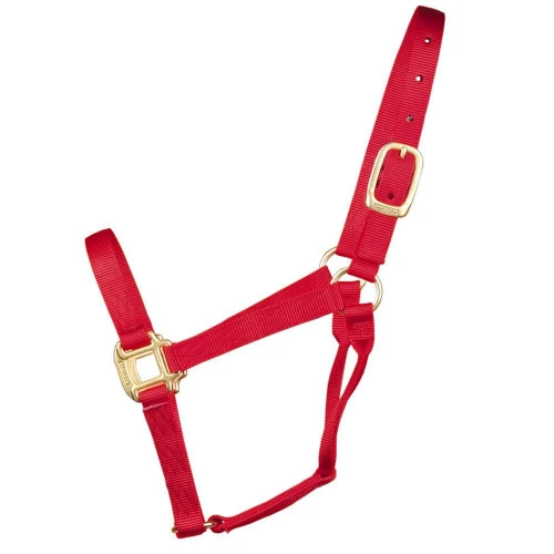 Hamilton Quality 1" Nylon Halter - Image 9