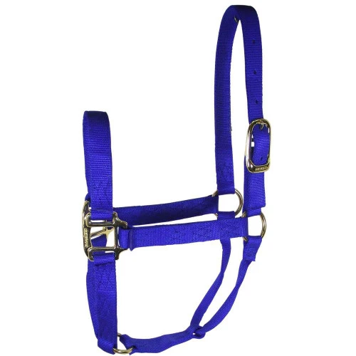 Hamilton Quality 1" Nylon Halter - Image 5