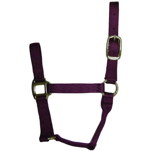 Hamilton Quality 1" Nylon Halter - Image 4