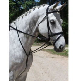 Red Barn German Martingale