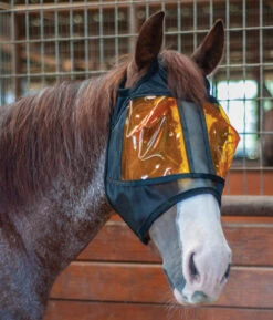REM Restoration Equine Mask