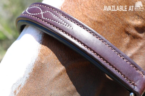 Walsh Signature Pony Halter - Image 4