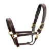 Walsh Signature Pony Halter