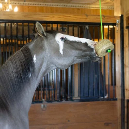 Triple Crown Tether Treat - Image 3