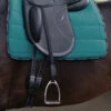 Passier Velvet Touch Mono Stirrup Leathers